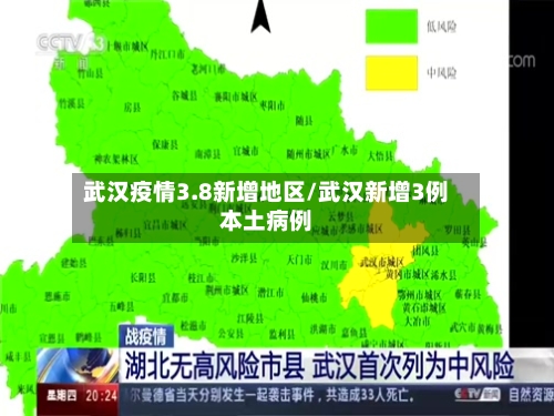 武汉疫情3.8新增地区/武汉新增3例本土病例-第2张图片
