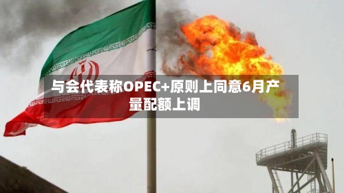 与会代表称OPEC+原则上同意6月产量配额上调-第2张图片