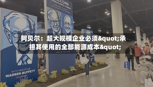 阿贝尔：超大规模企业必须"承担其使用的全部能源成本"