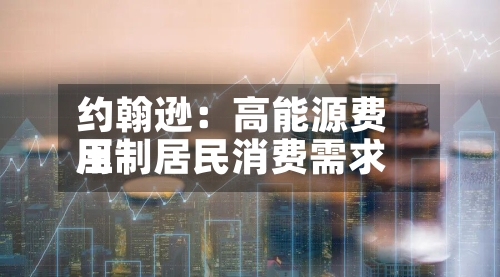 约翰逊：高能源费用压制居民消费需求