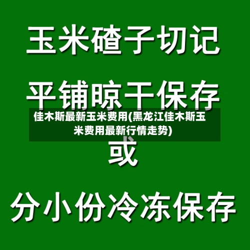 佳木斯最新玉米费用(黑龙江佳木斯玉米费用最新行情走势)-第2张图片
