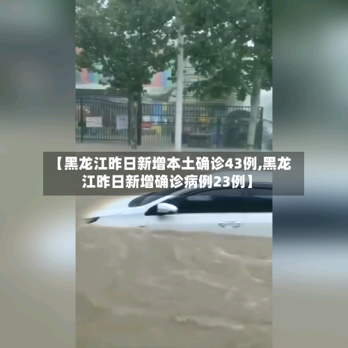【黑龙江昨日新增本土确诊43例,黑龙江昨日新增确诊病例23例】