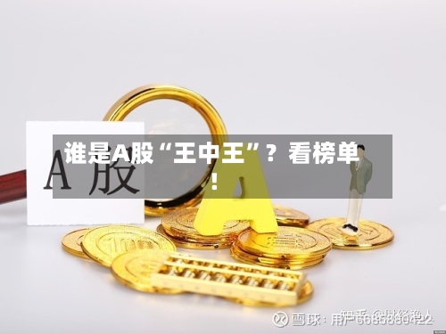谁是A股“王中王”？看榜单！