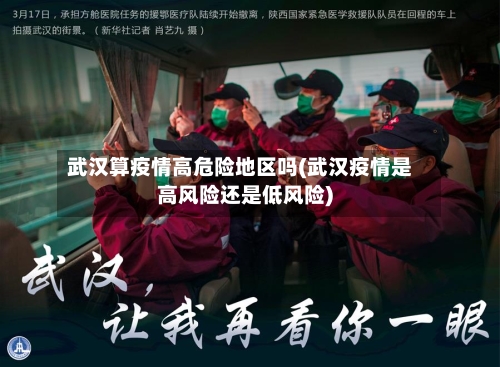 武汉算疫情高危险地区吗(武汉疫情是高风险还是低风险)-第2张图片