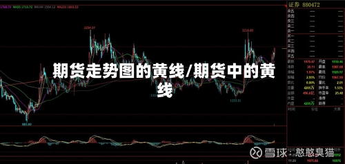 期货走势图的黄线/期货中的黄线-第2张图片