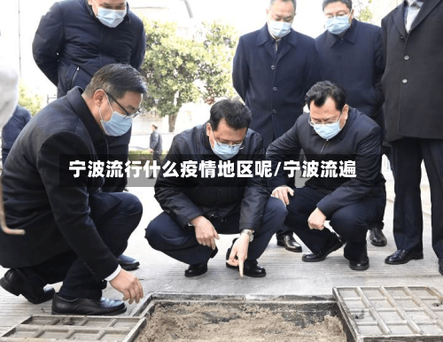 宁波流行什么疫情地区呢/宁波流遍-第2张图片