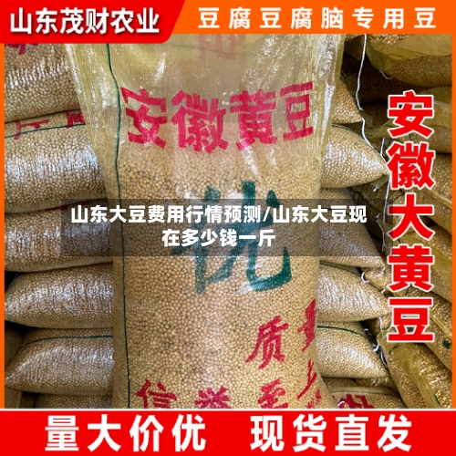 山东大豆费用行情预测/山东大豆现在多少钱一斤