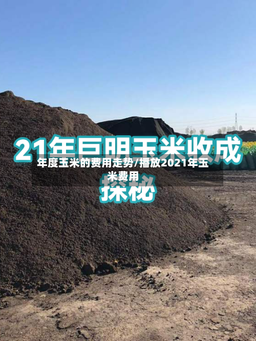 年度玉米的费用走势/播放2021年玉米费用-第3张图片