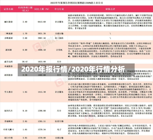 2020年报行情/2020年行情分析