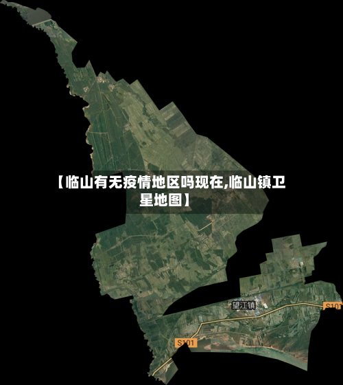 【临山有无疫情地区吗现在,临山镇卫星地图】