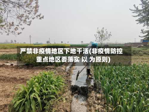 严禁非疫情地区下地干活(非疫情防控重点地区要落实 以 为原则)-第3张图片
