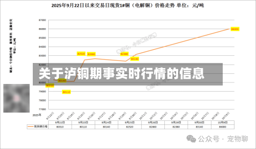 关于泸铜期事实时行情的信息-第2张图片