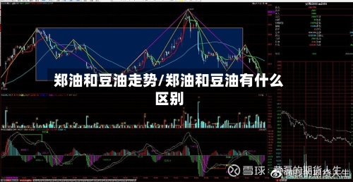郑油和豆油走势/郑油和豆油有什么区别