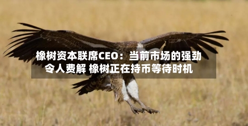 橡树资本联席CEO：当前市场的强劲令人费解 橡树正在持币等待时机
