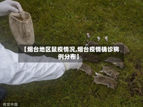 【烟台地区鼠疫情况,烟台疫情确诊病例分布】-第2张图片