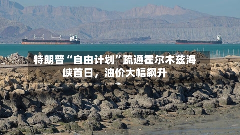 特朗普“自由计划”疏通霍尔木兹海峡首日	，油价大幅飙升-第2张图片