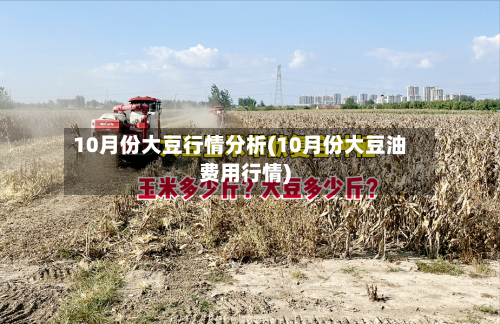 10月份大豆行情分析(10月份大豆油费用行情)-第2张图片