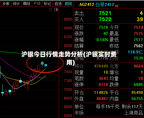 沪银今日行情走势分析(沪银实时费用)-第2张图片