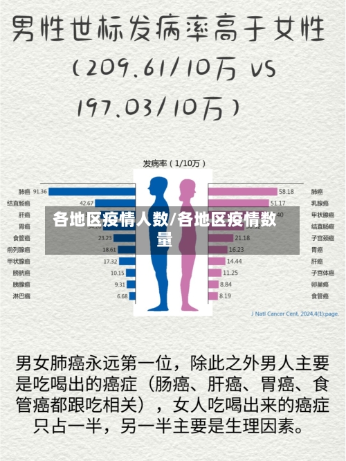 各地区疫情人数/各地区疫情数量