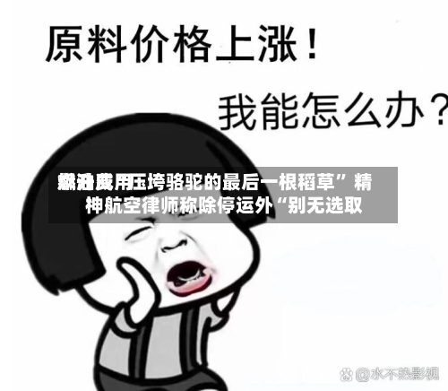 燃油费用飙升成“压垮骆驼的最后一根稻草	” 精神航空律师称除停运外“别无选取”-第3张图片