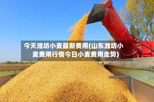 今天潍坊小麦最新费用(山东潍坊小麦费用行情今日小麦费用走势)-第2张图片
