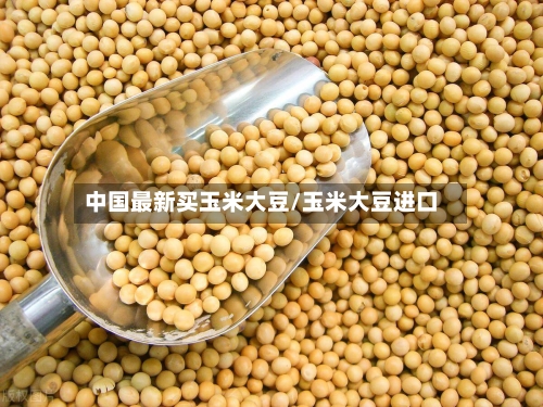 中国最新买玉米大豆/玉米大豆进口-第3张图片