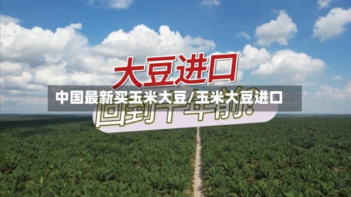 中国最新买玉米大豆/玉米大豆进口-第2张图片