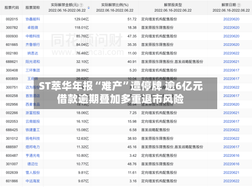 ST萃华年报“难产”遭停牌 逾6亿元借款逾期叠加多重退市风险-第2张图片