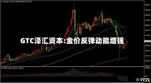 GTC泽汇资本:金价反弹动能增强-第2张图片