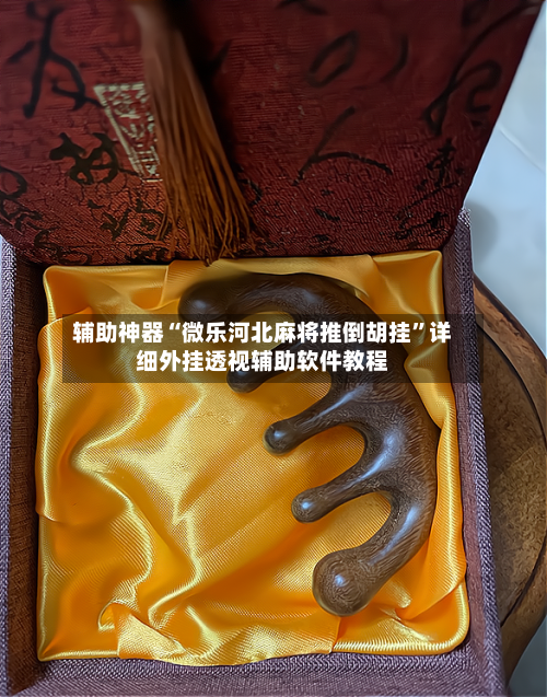 辅助神器“微乐河北麻将推倒胡挂	”详细外挂透视辅助软件教程-第3张图片