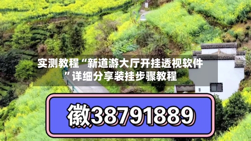 实测教程“新道游大厅开挂透视软件”详细分享装挂步骤教程