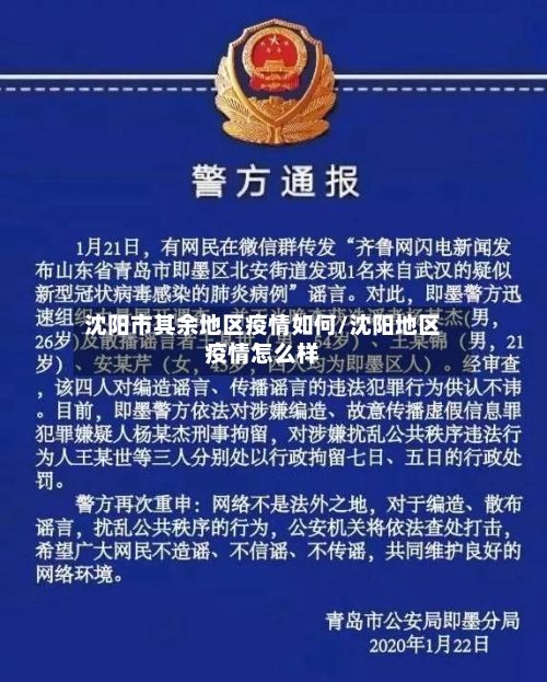沈阳市其余地区疫情如何/沈阳地区疫情怎么样-第3张图片