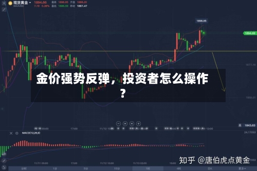 金价强势反弹，投资者怎么操作？-第2张图片