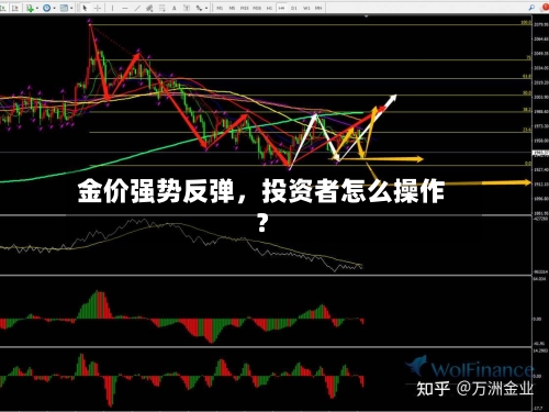 金价强势反弹，投资者怎么操作？-第3张图片