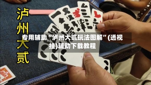 专用辅助“泸州大贰玩法图解”(透视挂)辅助下载教程-第3张图片