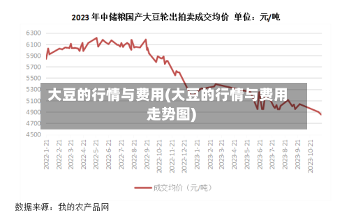 大豆的行情与费用(大豆的行情与费用走势图)-第2张图片