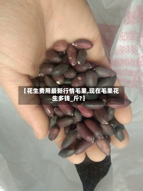 【花生费用最新行情毛果,现在毛果花生多钱_斤?】