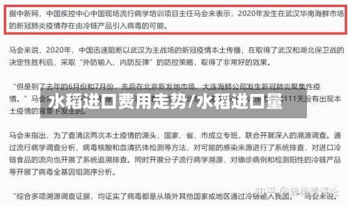 水稻进口费用走势/水稻进口量