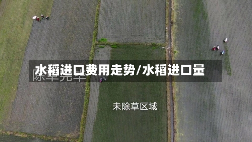 水稻进口费用走势/水稻进口量-第2张图片