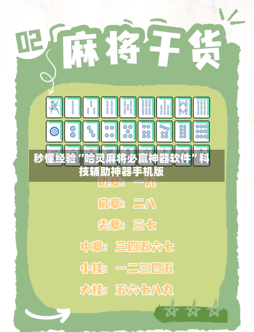 秒懂经验“哈灵麻将必赢神器软件	”科技辅助神器手机版-第2张图片