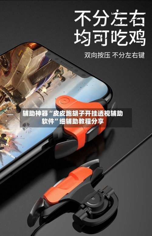 辅助神器“皮皮跑胡子开挂透视辅助软件”细辅助教程分享-第2张图片