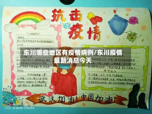 东川哪些地区有疫情病例/东川疫情最新消息今天-第2张图片
