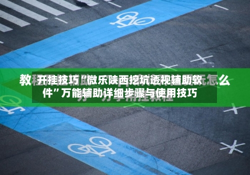 开挂技巧“微乐陕西挖坑透视辅助软件	”万能辅助详细步骤与使用技巧-第2张图片