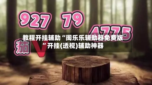 教程开挂辅助“闽乐乐辅助器免费版”开挂(透视)辅助神器
