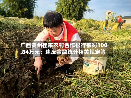 广西贺州桂东农村合作银行被罚100.84万元：违反金融统计相关规定等