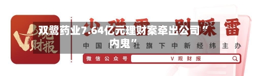 双鹭药业7.64亿元理财案牵出公司“内鬼”-第2张图片