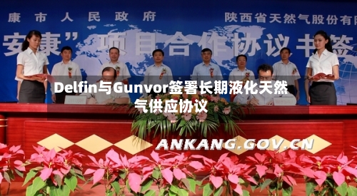 Delfin与Gunvor签署长期液化天然气供应协议-第2张图片