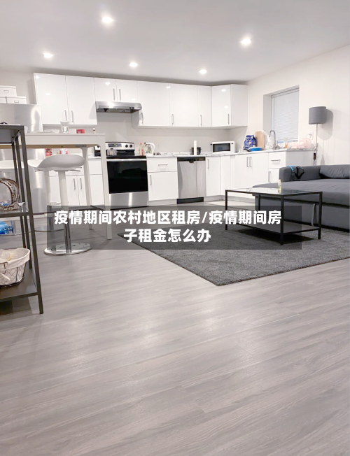 疫情期间农村地区租房/疫情期间房子租金怎么办-第2张图片