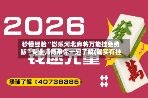 秒懂经验“微乐河北麻将万能挂免费版	”专业师傅带你一起了解(确实有挂-第2张图片