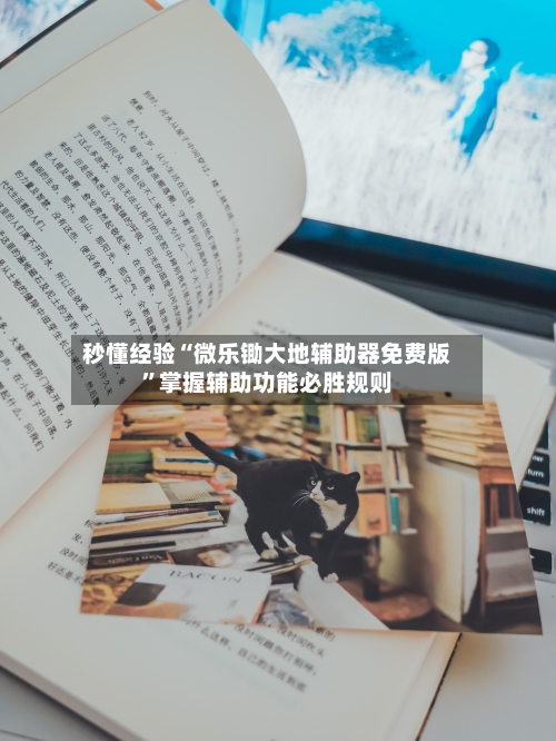 秒懂经验“微乐锄大地辅助器免费版”掌握辅助功能必胜规则